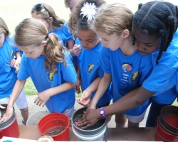 Third-graders Explore Science at Field Station