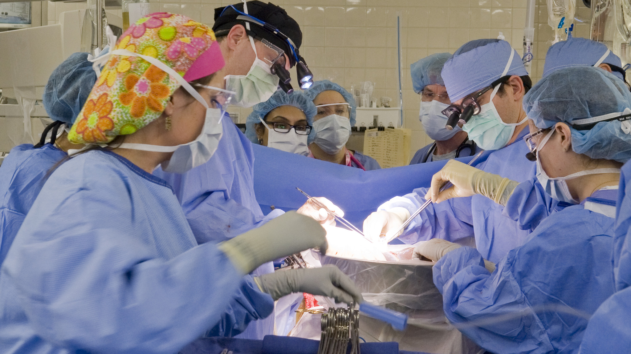 Трансплантация органов от живого донора. Хирургическая операция. Хирургическая трансплантология. Трансплантация органов операции.
