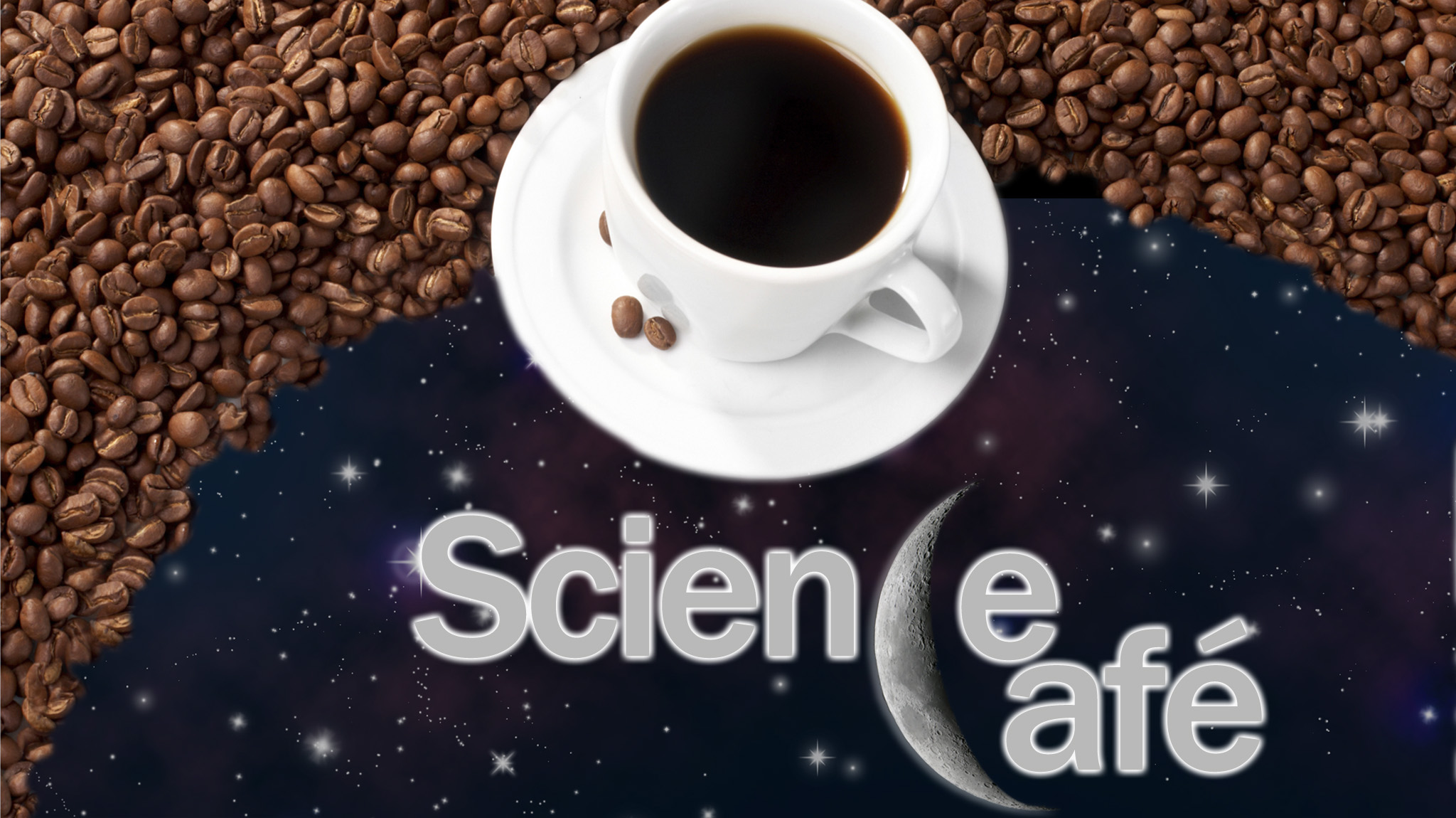 March Science Cafe Focuses on Environmental Toxicology Ole Miss News