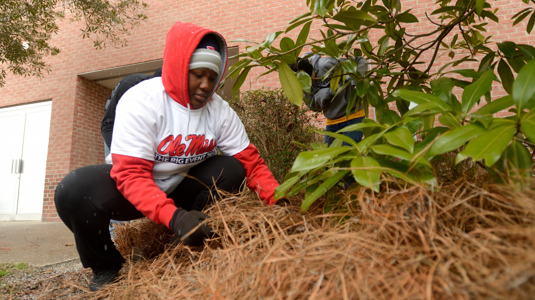 UM Earns Place on National Honor Roll for Community Service Ole Miss News