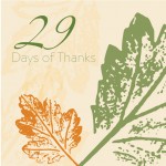 29_DAYS-THANKS_2