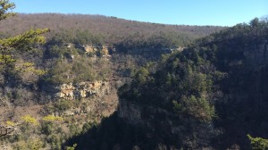 The hike around Cloudland Canyon had some of the most beautiful views I've ever seen. 