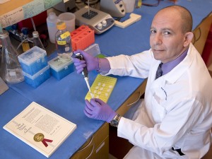 Dr. Wael ElShamy, director of the UMMC Cancer Institute’s Molecular Cancer Therapeutics Program, has received a patent on a method to diagnose and treat several cancer types and subtypes. The method may lead to the first targeted therapy for triple negative breast cancer and add to therapies for other cancers.