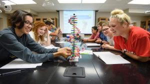 Incoming freshmen assemble DNA models during Biology Bootcamp, a five-day intensive program to prepare them for BISC 160: Biological Sciences. Private giving supports academic programs such as these, as well as scholarships, faculty, outreach and more. Photo by Robert Jordan/Ole Miss Communications