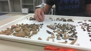 Graduate student Emily Clark sorts through Native American artifacts found at a dig site in Oktibbeha County.