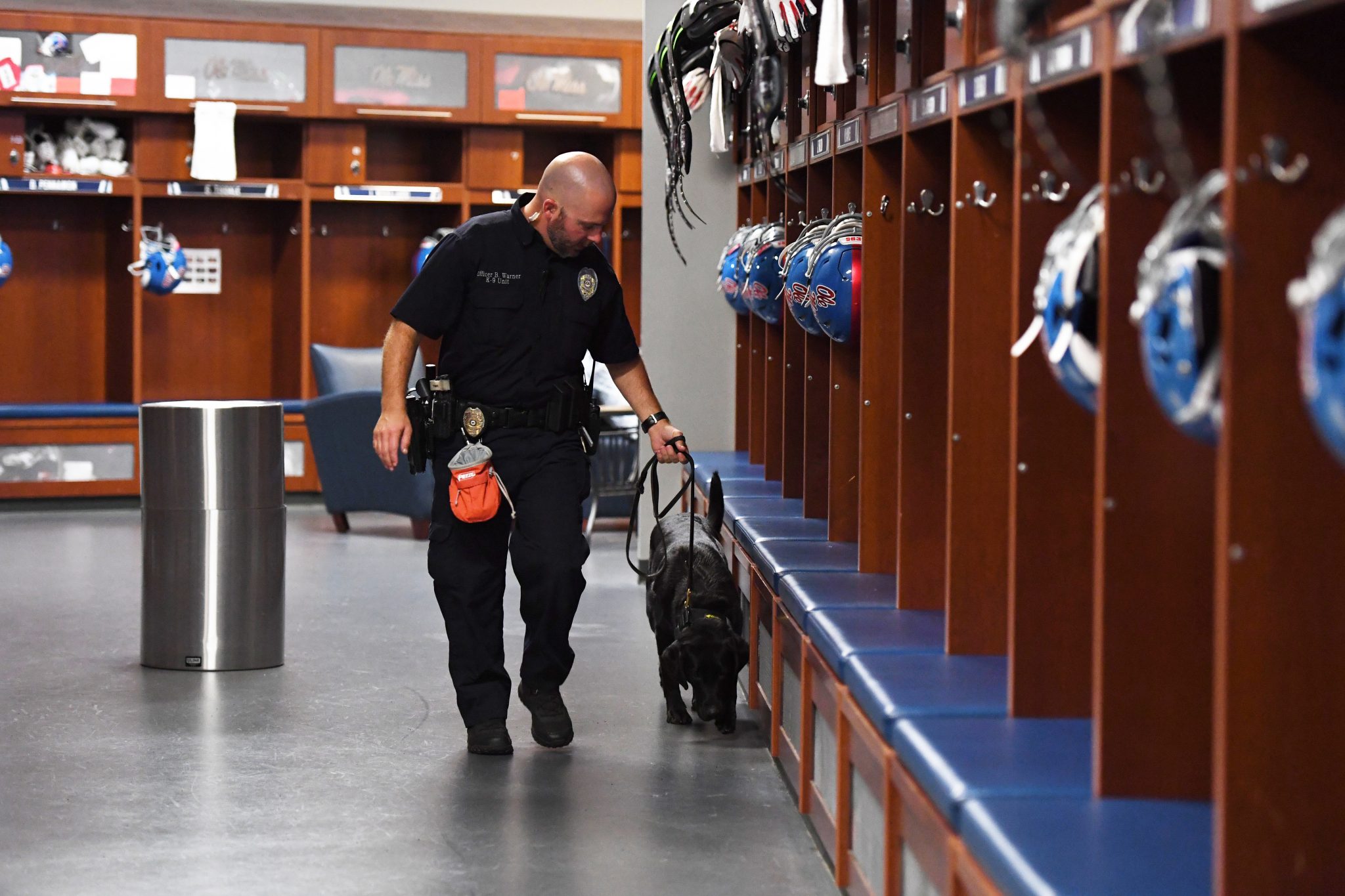 Nebula, the University of Mississippi's new police dog, searches Vaught-Hemingway Stadium and the football facilities ahead of a recent football game. The Labrador retriever is trained to find weapons, explosives and other threats. Photo by Thomas Graning/Ole Miss Digital Imaging Services