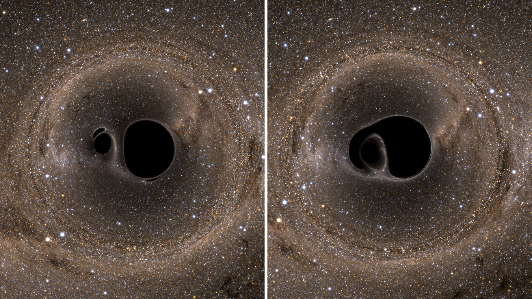 Computer renderings show two black holes about to merge as they spiral toward each other. The pair are shown from above (left) and from the side. To view a ‘top view’ video, click here. For a ‘side view’ video, click here. Images courtesy of the Simulating eXtreme Spacetimes Collaboration