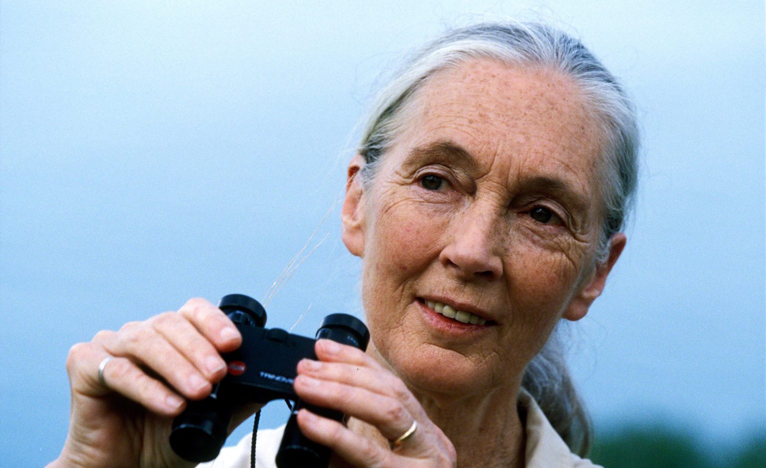 Jane Goodall. Photo by Bill Wallauer/JGI