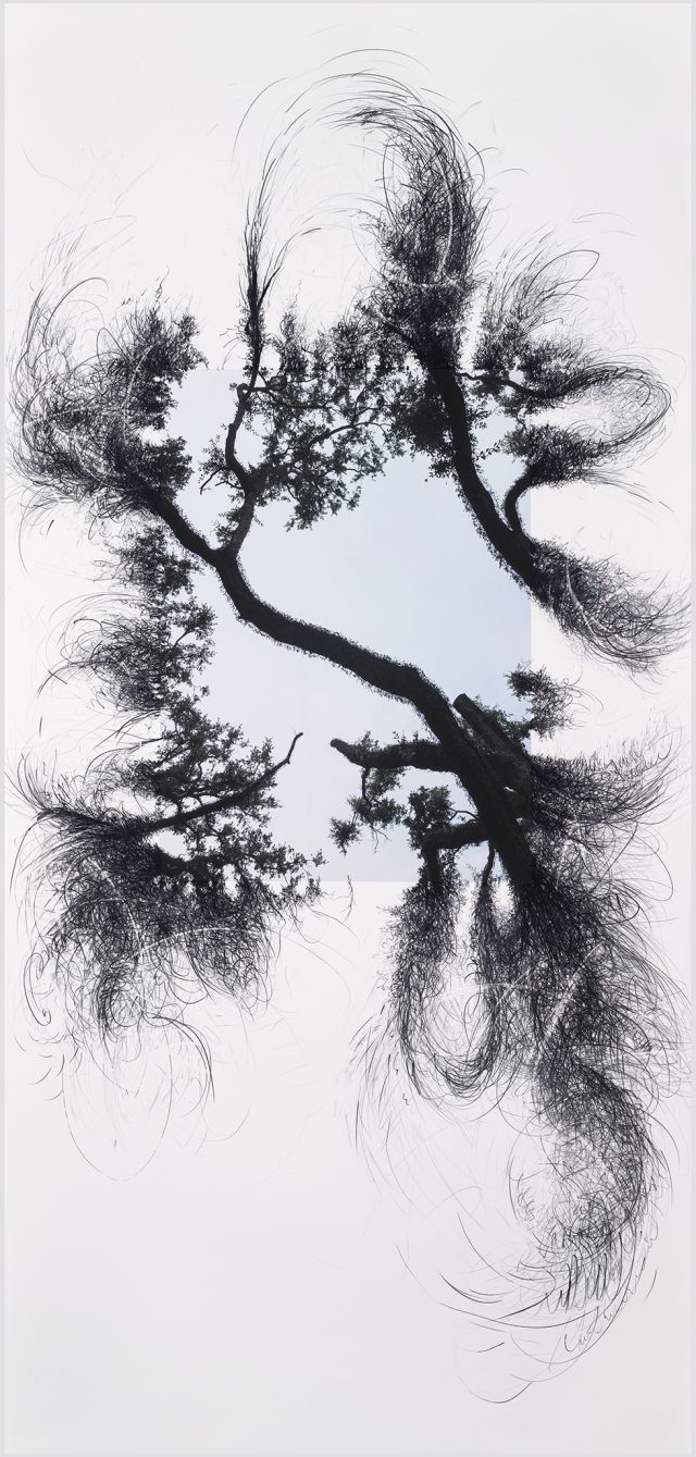 ‘Turbulent Maladies,’ by Kariann Fuqua, combines drawing and mark-making with nature photography. The 8-foot-tall piece is among the works by 15 Mississippi artists included in the exhibit. Photo by Robert Jordan