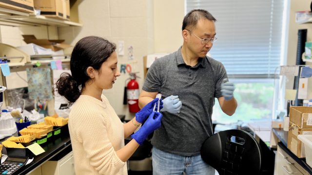 Biologist Yongjian Qiu (right) works with Ole Miss graduate student Anupa Wasti in his lab