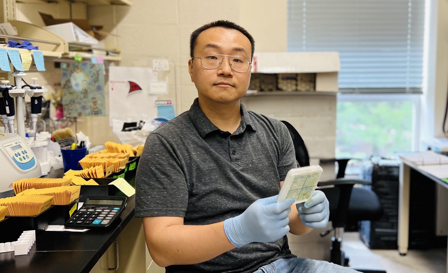 Yongjian Qiu is building on his earlier studies of plant growth to understand how different parts of plants react to rising temperatures. Submitted photo