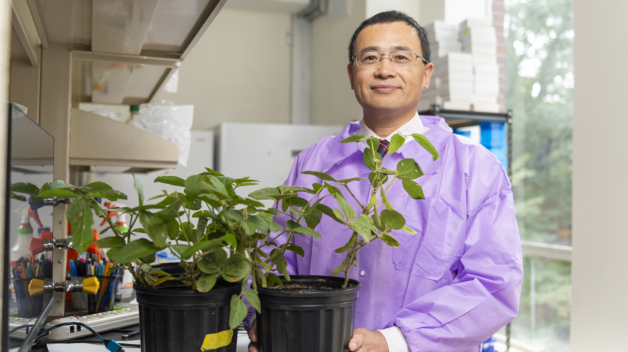 UM biologist Sixue Chen is collaborating with researchers nationwide to combat a microscopic roundworm that causes up to 50% of a soybean crop’s yield loss. The project has huge implications for Mississippi farmers, who depend heavily on soybeans. Photo by Srijita Chattopadhyay/Ole Miss Digital Imaging Services